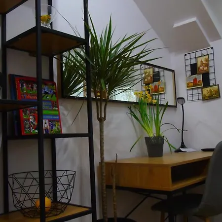 Copernicus 11 Apartment *