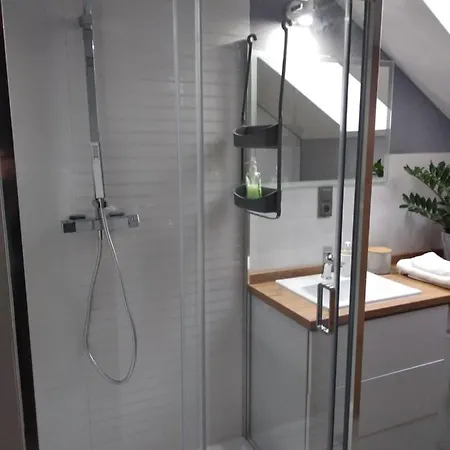 Apartment Copernicus 11 *