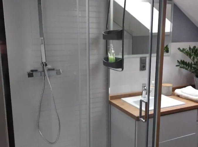 Apartmán Copernicus 11 *