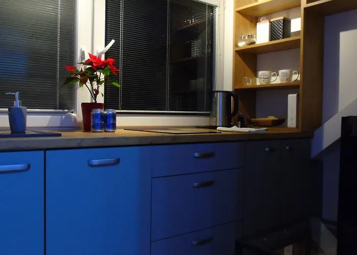 Copernicus 11 Olštýn